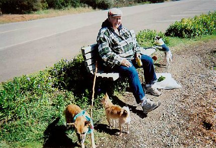 Jack Pelichowski